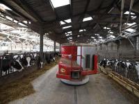 फ्रान्समध्ये गायींना चारा-पाणी देण्यासाठी होतो रोबोटचा वापर - Marathi News | use of robots to give cows to feed cows in France | Latest international Photos at Lokmat.com