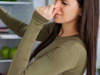 फ्रीजची दुर्गंधी घालवण्यासाठी रुपयाही खर्च करू नका, ५ सोपे उपाय, झटपट स्वच्छ होईल फ्रीज- कुबट वासही येणार नाही - Marathi News | How to remove bad smell from refrigerator naturally fridge deodorizer home remedies Fridge cleaning tips without chemicals in Marathi Quick ways to get rid of fridge odor Benefits of lemon and baking soda for fridge | Latest sakhi Photos at Lokmat.com