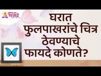 घरात फुलपाखरांचे चित्र ठेवण्याचे फायदे कोणते? Benefits of Butterfly Pictures in Home | Lokmat Bhakti