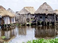 ' हे ' गावंच आहे पाण्यात - Marathi News | 'This' is a village in water | Latest jarahatke Photos at Lokmat.com