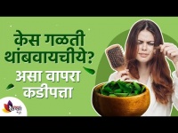 कडीपत्ता केसांसाठी किती आणि कसा फायदेशीर आहे? How To Use Curry Leaves Hair Mask? Lokmat Sakhi