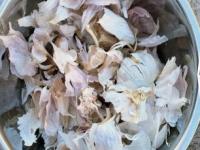 लसूण सोलून सालं फेकून देता? लसणाच्या सालांचे ७ भन्नाट उपयोग, झुरळंही पळतील घरातून - Marathi News | Uses of garlic peel : Five Good Reasons To Use Garlic and Peels | Latest sakhi Photos at Lokmat.com