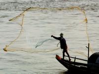 वाह, भारीच! मासेमाराच्या हाती लागला २ कोटींचा खजिना; व्हेलच्या उलटीनं नशीबच पालटलं ना राव - Marathi News | A fisherman in thailand catches a whale vomit which can be worth almost two crore rupee | Latest jarahatke Photos at Lokmat.com