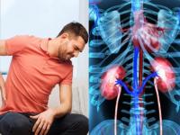 शरीरातील विषारी पदार्थ बाहेर न पडल्याने उद्भवू शकतात 'या' गंभीर समस्या, जाणून घ्या लक्षणं - Marathi News | Know the side effects of toxins in the body, may affects to kidney myb | Latest health Photos at Lokmat.com