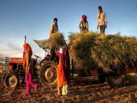 आता १२५ दिवस रोजगाराची गॅरेंटी! पाहा G RAM G विधेयकामुळे ग्रामीण भागात कसा होणार फायदा? - Marathi News | Now 125 days of employment guaranteed See how the G RAM G Bill will benefit rural areas benefit for government too | Latest business News at Lokmat.com