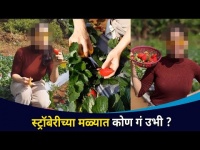अभिनेत्री प्रिया बापट पोहचली स्ट्रॉबेरीच्या मळ्यात Priya Bapat in Strawberry Farm |Lokmat CNX Filmy