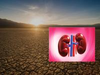 उष्णतेच्या लाटेचा होतोय नवा साइड इफेक्ट; आता मूतखडा, मूत्रमार्गांतील संसर्गांमध्ये वाढ - Marathi News | Heat wave has a new side effect; now kidney stones, urinary tract infections are on the rise | Latest health News at Lokmat.com