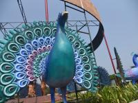 गोव्यात इफ्फीसाठी जोरदार तयारी सुरु - Marathi News | The preparations for the IFFI in Goa have started | Latest goa Photos at Lokmat.com