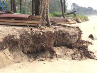 चक्रीवादळामुळे गोव्यातल्या समुद्रकिना-याला धोक्याचा इशारा - Marathi News | Fierce warning to the ocean in Goa due to cyclone | Latest goa Photos at Lokmat.com