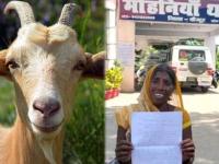 शेजारील व्यक्तीच्या बकरीजवळ गेला बकरा; मालकानं बेदम मारुन जीवच घेतला - Marathi News | Bihar : Neighbor accused of killing goat police conduct postmortem | Latest crime Photos at Lokmat.com