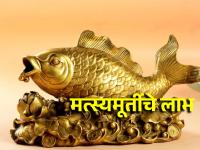 Feng Shui: गोल्ड फिश पाळणे शक्य नाही? मग सोनेरी मत्स्य मूर्ति घेऊन या; दुप्पट लाभ होईल! - Marathi News | Feng Shui: Can't keep goldfish? Then bring the golden fish statue; Double the benefits! | Latest bhakti Photos at Lokmat.com