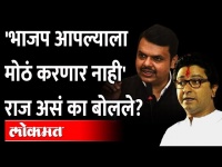 भाजपसोबत युतीचा निर्णय मीच घेणार, राज ठाकरेंकडून मनसैनिकांची कानउघडणी Raj Thackeray MNS-BJP Alliance
