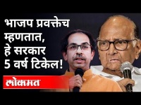 BJP प्रवक्ते म्हणतात, ठाकरे सरकार टिकणार! Thackeray Government | Mahavikad Aghadi | Maharashtra News