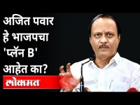 अजित पवार हे भाजपचा 'प्लॅन B' आहेत का? Ajit Pawar, Sanjay Raut | Bjp Plan B | Maharashtra News