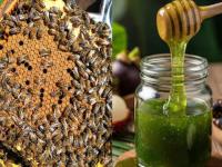 सोन्यापेक्षाही महाग विकलं जातं हे मध, सामन्य मधापेक्षा असतं फार वेगळं, अशी आहेत वैशिष्ट्ये - Marathi News | Rare Green Honey: This honey is sold more expensive than gold, it is very different from ordinary honey, these are its features | Latest jarahatke Photos at Lokmat.com