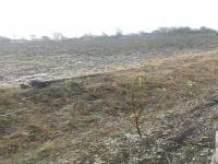 मराठवाड्याला सलग दुस-या दिवशी गारपिटीचा फटका - Marathi News | Marathwada hit by hailstorm for second consecutive day | Latest chhatrapati-sambhajinagar Photos at Lokmat.com