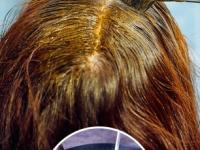 वय कमी पण केस पिकलेत? मेहेंदीत 'हा' सिक्रेट पदार्थ मिसळून लावा; काळे-शायनी होतील केस - Marathi News | What is the best way to apply henna on hair : How to Apply Mehendi on Hair at Home | Latest sakhi Photos at Lokmat.com