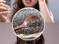 भारीच! महागडे प्रोडक्ट सोडा... गळणाऱ्या केसांवर रामबाण उपाय; एकदा करून बघाच - Marathi News | chia seeds benefits long healthy hair diet | Latest sakhi Photos at Lokmat.com