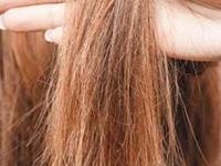 केस वाढत नाहीत? साऊथ इंडियन तरुणींचा सिक्रेट फॉर्म्युला वापरा; ५ घरगुती हेअर मास्क, फाटे फुटलेले केस गायब - Marathi News | South Indian hair care secrets for long thick hair South Indian hair care secrets for long thick hair split ends treatment how to make homemade hair masks for hair growth | Latest sakhi Photos at Lokmat.com