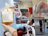 CoronaVirus News : आशेचा किरण! कोरोनाच्या संकटात प्लाझ्मा थेरपी देतेय शुभ संकेत; रिसर्चमधून खुलासा - Marathi News | plasma therapy beneficial for corona patient overcome many problems research | Latest national Photos at Lokmat.com