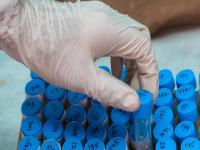 CoronaVirus Updates: कोरोनाचा सी. १.२ नवा विषाणू; लसीलाही दाद देणार नाही, तज्ज्ञांनी व्यक्त केली भीती - Marathi News | CoronaVirus Updates: CoronaVirus c. 1.2 New virus; Corona will not appreciate the vaccine either, experts fear | Latest national Photos at Lokmat.com