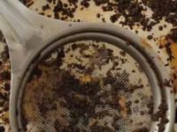 चहा गाळणी कळकट, घाण झाली म्हणून फेकू नका- 'या' पद्धतीने स्वच्छ करा, नव्यासारखी चकाचक होईल - Marathi News | how to clean tea strainer, home hacks to clean tea strainer, simple remedies to clean tea strainer | Latest sakhi Photos at Lokmat.com