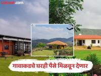 गावी थोडी उंचवट्यावर, डोंगरात जागा पडून आहे? सरकार देणार पैसे, वरच्या कमाईसाठी काय करू शकता पहा... - Marathi News | Is there a place lying on a hill, a little higher in the village? The government will give money, see what you can do to earn more | Latest career Photos at Lokmat.com