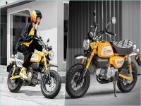 70Km चे मायलेज आणि जबरदस्त परफॉर्मेंस! लॉन्च झाली Honda MONKEY - Marathi News | Honda Monkey: 70Km mileage and great performance! Honda MONKEY launched | Latest auto Photos at Lokmat.com