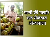 Jara Hatke: शहाळ्याची मलई की गोड पाणी? तुमची निवड कधीच चुकणार नाही; जाणून घ्या सिक्रेट! - Marathi News | Jara Hatke: Jahale cream or sweet water? You will never go wrong with your choice; know the secret! | Latest jarahatke News at Lokmat.com