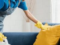 फॅब्रिकचा सोफा स्वच्छ करण्याच्या सोप्या पद्धती- दिवाळीची साफसफाई होईल अगदी झटपट - Marathi News | how to clean fabric sofa, simple tips and tricks to clean fabric sofa without washing it | Latest sakhi Photos at Lokmat.com