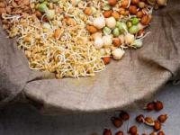 फक्त एका दिवसात कडधान्यांना येतील लांब मोड! ८ खास टिप्स - येणार नाही चिकट, कुबट दुर्गंधी... - Marathi News | how to get long sprouts in one day quick sprouting method for pulses tips to grow healthy sprouts naturally | Latest sakhi Photos at Lokmat.com