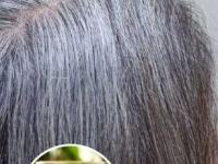 पांढऱ्या केसांमुळे कमी वयातच म्हातारे दिसताय? 'या' पद्धतीने आवळा वापरा- केस काळेभोर राहतील - Marathi News | use of amla to get rid of white hair, how to use amla for black hair, home hacks to reduce gray hair | Latest sakhi Photos at Lokmat.com