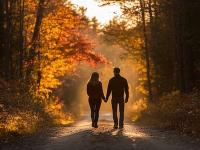 काळजाचा थरकाप! पती-पत्नीने जंगलात प्रवास थांबविला; ५ वर्षांचा चिमुरडा रात्रभर मृतदेहांपाशी बसून राखण करत होता - Marathi News | Heartbreaking! Husband and wife stop their journey in the forest; 5-year-old child sits guarding all night | Latest national News at Lokmat.com