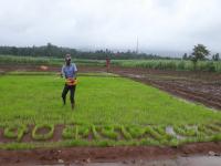 नादच खुळा! कोरोनाला पळवण्यासाठी बळीराजाने लावली 'आयडियाची कल्पना', पाहा भन्नाट फोटो - Marathi News | Go corona go farmer from kolhapur district support corona worriers | Latest social-viral Photos at Lokmat.com