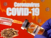 आता नशायुक्त पदार्थांपासून तयार होणार कोरोनाची लस; लवकरच माणसांवर होणार चाचणी - Marathi News | CoronaVirus News : Corona virus tobacco based vaccine ready for human trial myb | Latest health Photos at Lokmat.com