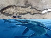 Ichthyosaurs: ब्रिटनच्या संशोधकांना सापडला 9 कोटी वर्षांपूर्वी नामशेष झालेल्या 'इचथियोसॉर'चा सांगाडा - Marathi News | Skeleton of sea dragon called 'Ichthyosaurs' found in britain; it went extinct 90 million years ago | Latest jarahatke Photos at Lokmat.com