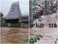 Andhra Pradesh Floods : बालाजी वाचवा! मुसळधार पावसानं आध्रात हाहाकार; तिरूपती मंदिरात पाणी घुसलं, नद्या-नाले-रस्त्यांना पूर - Marathi News | Heavy rainfall in Andhra Pradesh flood devastation in andhra pradesh water entered tirupati temple | Latest national Photos at Lokmat.com