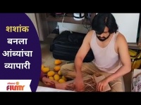 शशांक बनला आंब्यांचा व्यापार | Shashank Ketakr Packing Mango Box | Lokmat Filmy