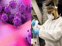 Coronavirus: ‘ओमायक्रॉन’च्या संकटात IHU व्हेरिएंटची दहशत; नव्या व्हेरिएंटवर WHO नं केले भाष्य - Marathi News | Omicron: IHU’ variant of Covid-19 has been found mostly in France, its not spreading rapidly WHO | Latest international Photos at Lokmat.com