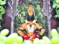 विठ्ठल-रुक्मिणी मंदिरातील गाभाऱ्याला द्राक्षांची आरास - Marathi News | Grape decoration to the temple of Vitthal-Rukmini rkp | Latest solapur Photos at Lokmat.com