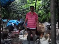 भाईंदर येथे कांदळवनमधील हातभट्टीवर कारवाई - Marathi News | Action on hand furnace in Kandalvan at Bhayander | Latest crime Photos at Lokmat.com