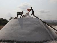 मिठागरांमध्ये लगबग... - Marathi News | salt farming in airoli | Latest navi-mumbai Photos at Lokmat.com