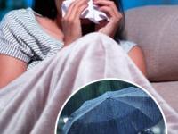 पावसाळ्यात सततच्या सर्दी- तापाने हैराण? इम्युनिटी बूस्ट करण्यासाठी ५ घरगुती पदार्थ, राहाल फिट - Marathi News | Best immunity boosting foods for cold and fever in monsoon How to prevent cold and fever in monsoon with diet | Latest sakhi Photos at Lokmat.com