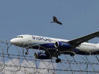 इंडिगोला दणका; ४ फ्लाइट ऑपरेशन इन्स्पेक्टर निलंबित, सीईओ पीटर एल्बर्स यांची सलग दुसऱ्या दिवशी डीजीसीएने चौकशी केली - Marathi News | IndiGo suffers blow; 4 flight operations inspectors suspended | Latest national News at Lokmat.com इंडिगोला दणका; ४ फ्लाइट ऑपरेशन इन्स्पेक्टर निलंबित, सीईओ पीटर एल्बर्स यांची सलग दुसऱ्या दिवशी डीजीसीएने चौकशी केली - Marathi News | IndiGo suffers blow; 4 flight operations inspectors suspended | Latest national News at Lokmat.com