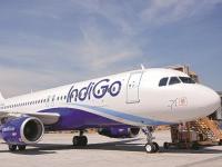 इंडिगोमुळे प्रवासी बेजार, थेट ठोठावलं सुप्रीम कोर्टाचं दार; CJI सूर्य कांत यांच्या घरी गेले याचिकाकर्ते! म्हणाले... - Marathi News | Passengers fed up with IndiGo, directly knocked on the door of the Supreme Court; Petitioners went to CJI Surya Kant's house! Said... | Latest national News at Lokmat.com इंडिगोमुळे प्रवासी बेजार, थेट ठोठावलं सुप्रीम कोर्टाचं दार; CJI सूर्य कांत यांच्या घरी गेले याचिकाकर्ते! म्हणाले... - Marathi News | Passengers fed up with IndiGo, directly knocked on the door of the Supreme Court; Petitioners went to CJI Surya Kant's house! Said... | Latest national News at Lokmat.com