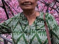 अवघे पाऊणशे वयमान! सत्तरीत जग फिरण्याचं स्वप्न; ३५ देशांची सोलो ट्रिप, कोण आहे 'ट्रॅव्हल अम्मा'? - Marathi News | At 70 Kerala Woman Indira m Has Travelled Solo to 35 Countries & Says Every Mom Should Try It Once | Latest sakhi Photos at Lokmat.com