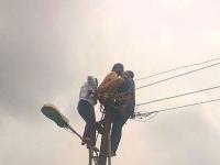 ‘शॉक’ लागून खांबावरच गतप्राण झाला ‘जनमित्र’ - Marathi News |  'Shock' collapsed on a pillar, 'Janmitra' | Latest maharashtra Photos at Lokmat.com