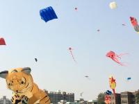 आंतरराष्ट्रीय पतंगोत्सवाच्या निमित्तानं 44 देशांमधील पतंगबाज पोहोचले गुजरातेत - Marathi News | Kites have been found in 44 countries on the occasion of International Kite festival | Latest national Photos at Lokmat.com