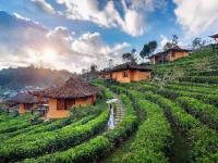 IRCTC चे शानदार टूर पॅकेज! स्वस्तात नॉर्थ ईस्ट फिरण्याची संधी - Marathi News | irctc assam and meghalaya ex mumbai tour ex mumbai package starting from 42,700 lakh rupees | Latest travel Photos at Lokmat.com