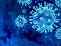 CoronaVirus : कोरोनातून बाहेर आलेल्या रुग्णालाही पुन्हा होऊ शकते लागण, अशी घ्या काळजी - Marathi News | CoronaVirus : How to take care of corona virus patients after discharge myb | Latest health Photos at Lokmat.com